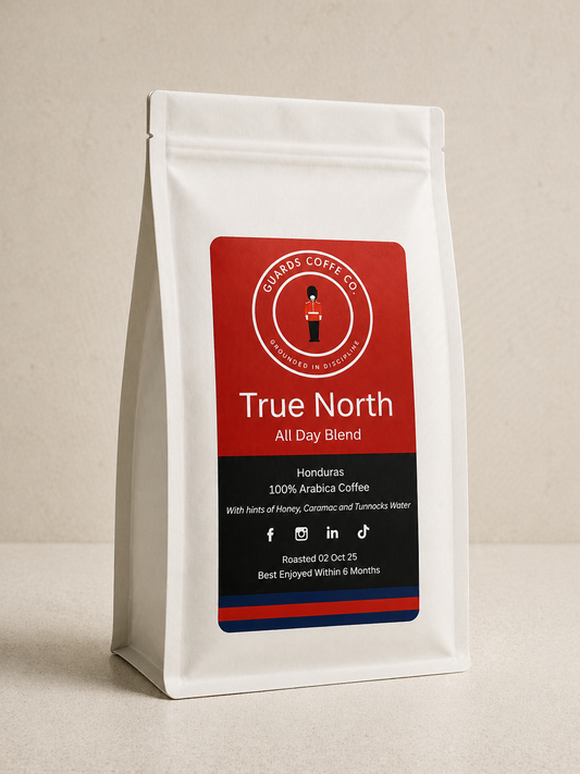 TRUE NORTH - All Day Blend